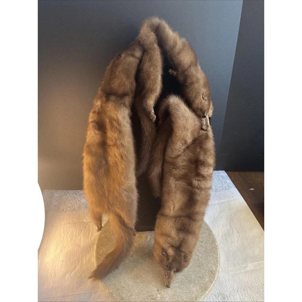 1950's L S Ayer's Co 3 Pelt Genuine Mink Fur Wrap Scarf 4 Ft Long Soft &Lovely